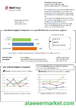 USA Minnesota Xcel Energy business utility bill template in Word and PDF formats